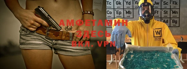 ПСИЛОЦИБИНОВЫЕ ГРИБЫ Сосновый Бор