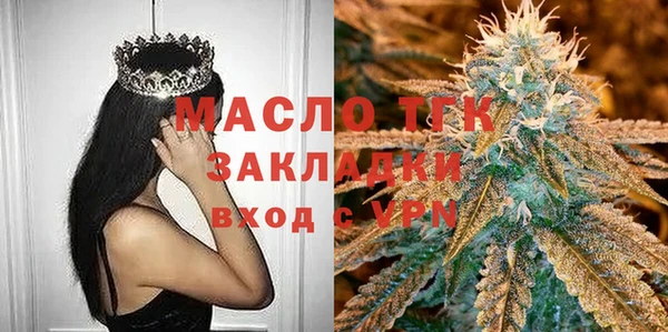 гидра Снежногорск