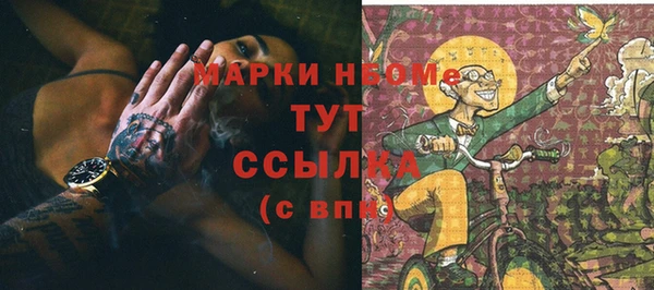 гидра Снежногорск