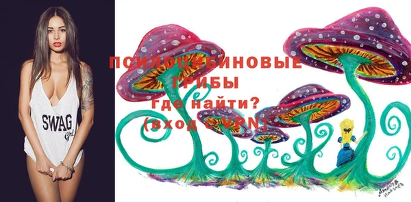 таблы Слюдянка